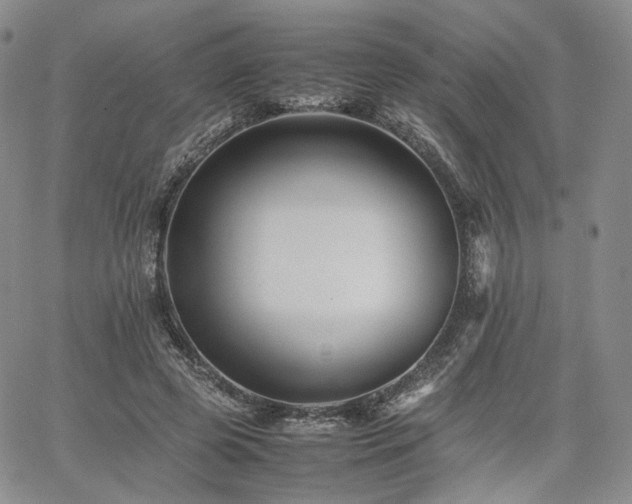 X0000062170545200512091433