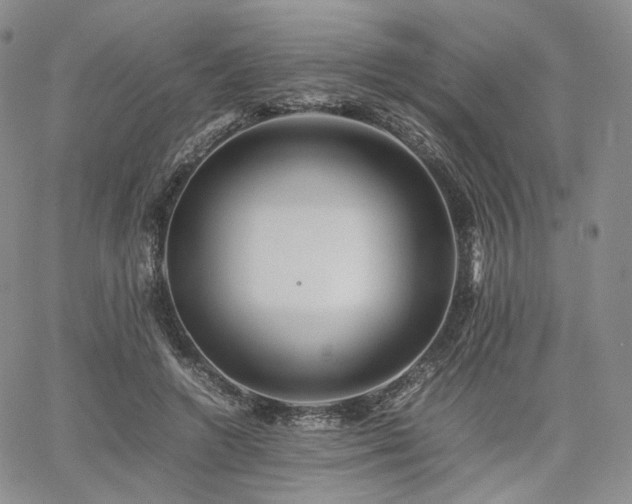 X0000062170546200512091433