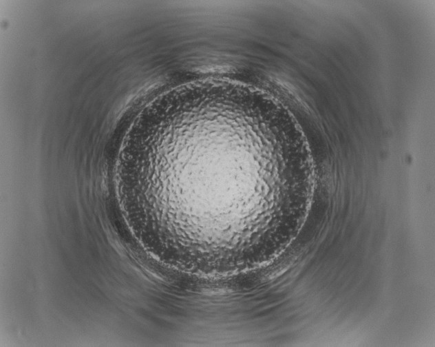 X0000062170547200512091433