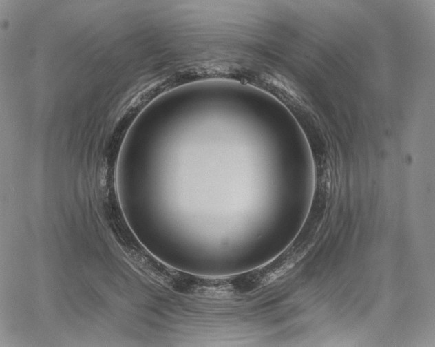 X0000062170548200512091433