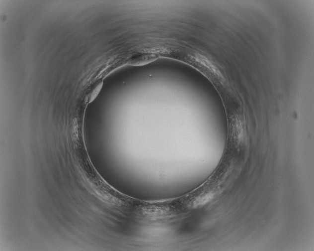 X0000062170549200512091433