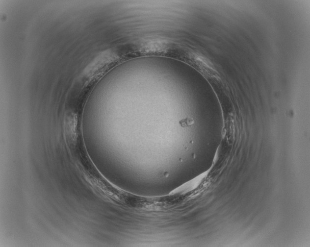 X0000062170550200512091433