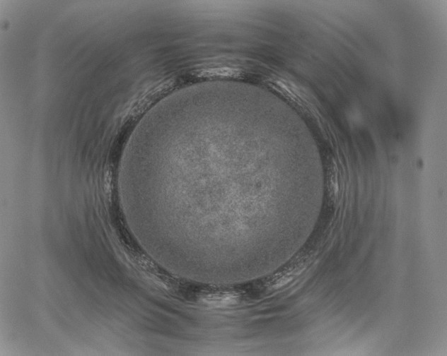 X0000062170551200512091433