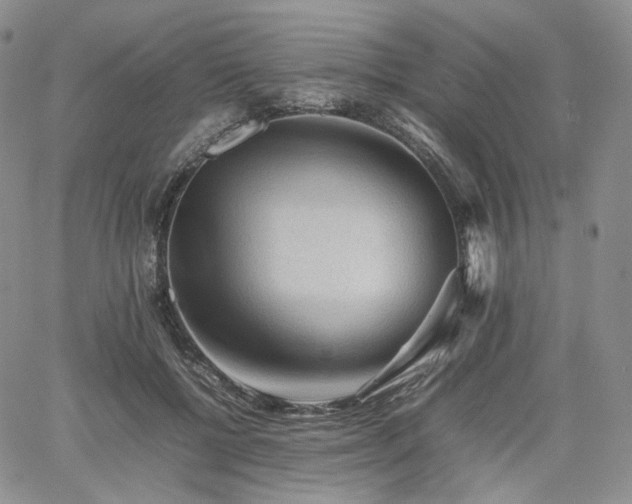 X0000062170552200512091433