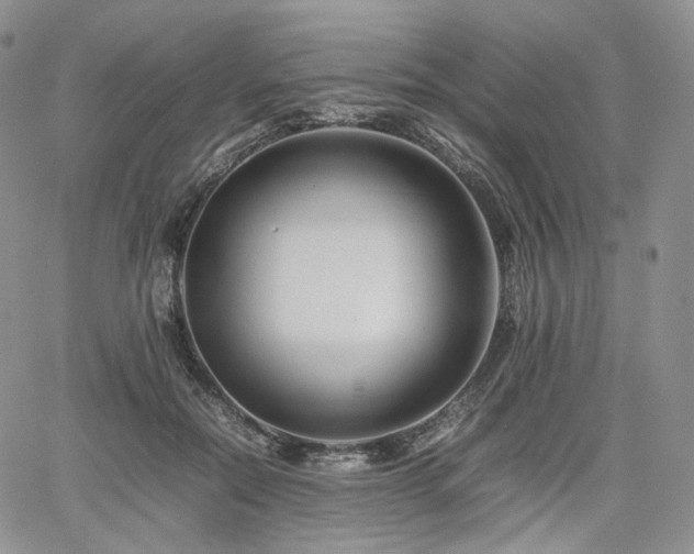 X0000062170554200512091433