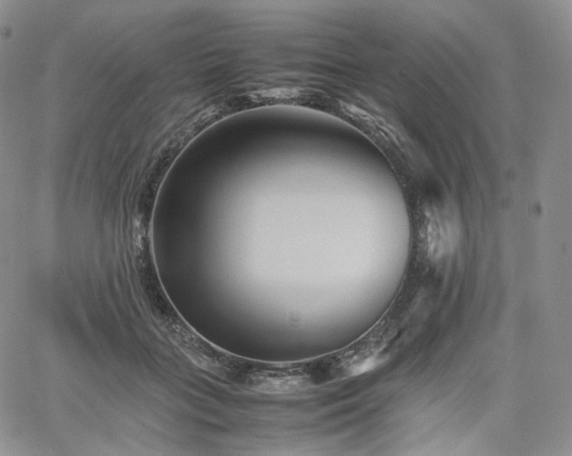 X0000062170555200512091433