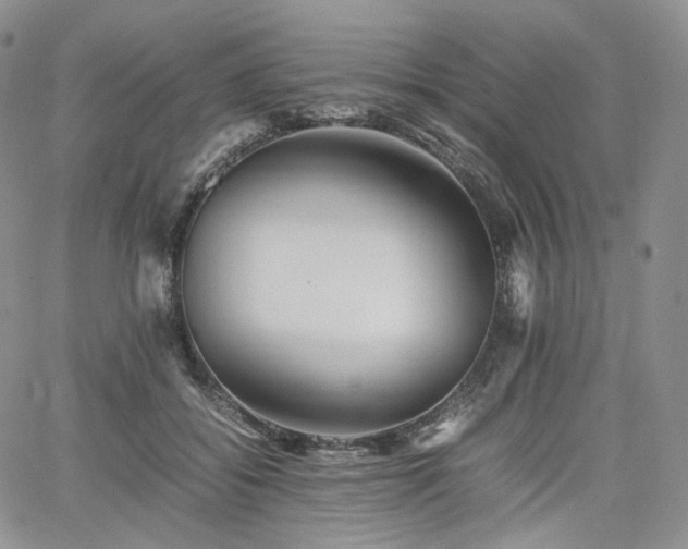 X0000062170556200512091433