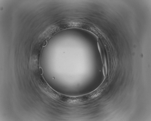 X0000062170557200512091433