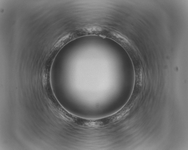 X0000062170558200512091433