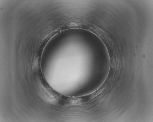 X0000062170560200512091433