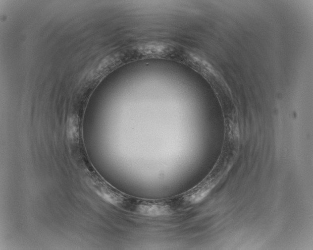 X0000062170561200512091433