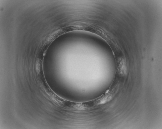 X0000062170562200512091433