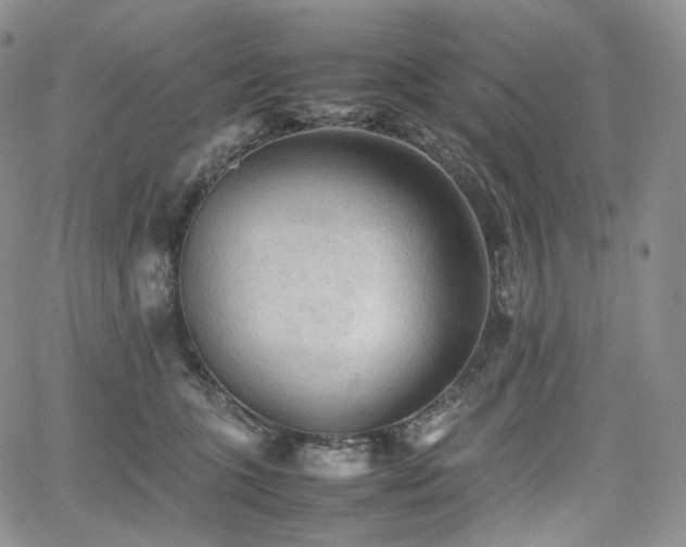 X0000062170563200512091433