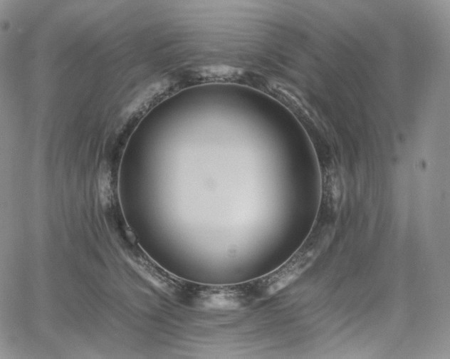 X0000062170564200512091433