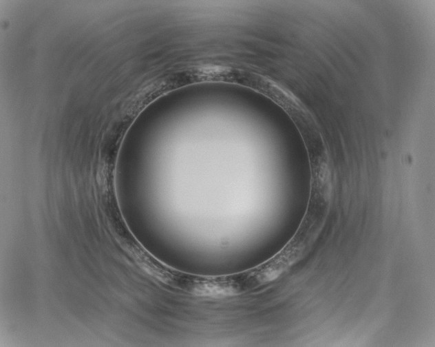 X0000062170565200512091433