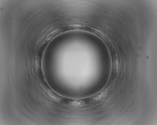 X0000062170566200512091433