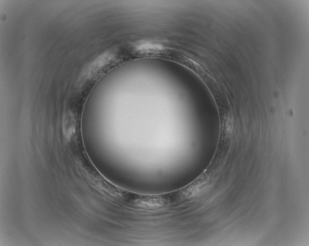 X0000062170567200512091433