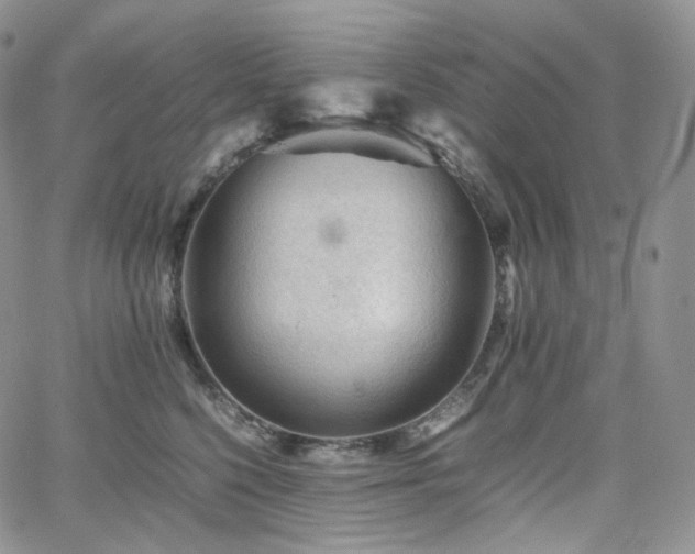 X0000062170568200512091433