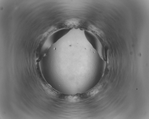 X0000062170570200512091433