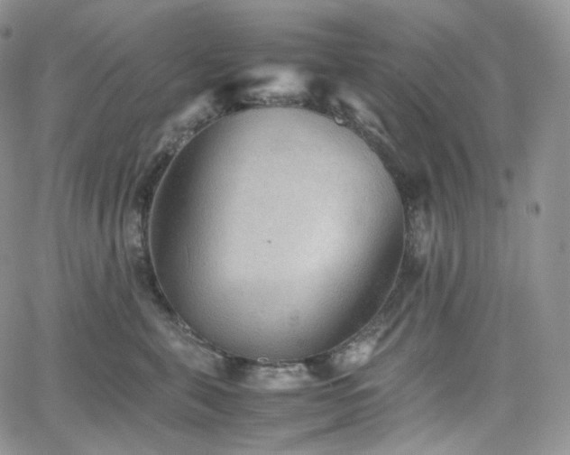 X0000062170571200512091433