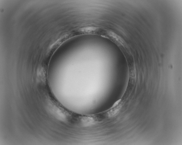 X0000062170572200512091433