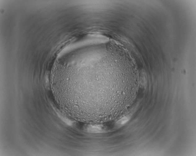 X0000062170573200512091433