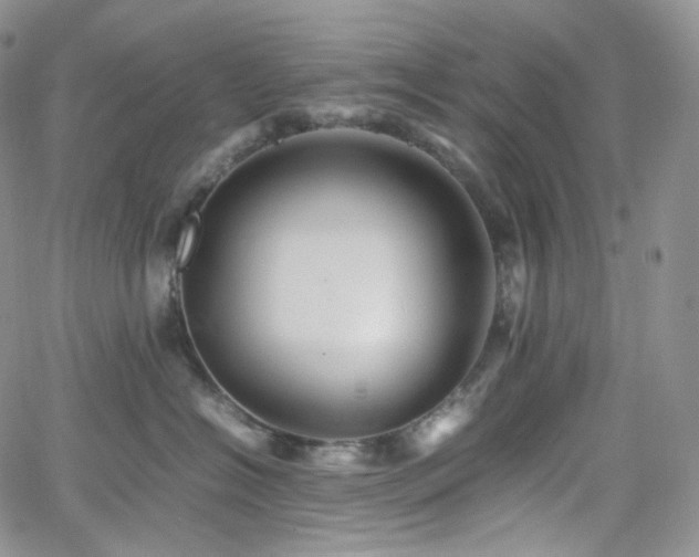 X0000062170574200512091433