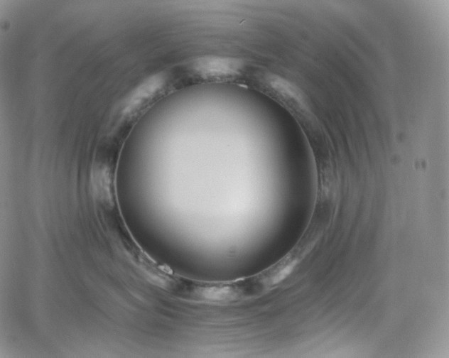 X0000062170575200512091433