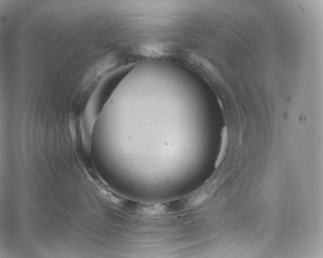 X0000062170576200512091433