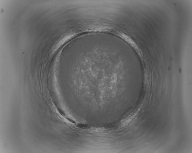 X0000062170577200512091432