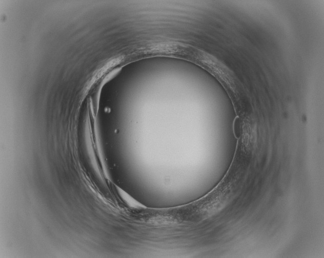 X0000062170578200512091432