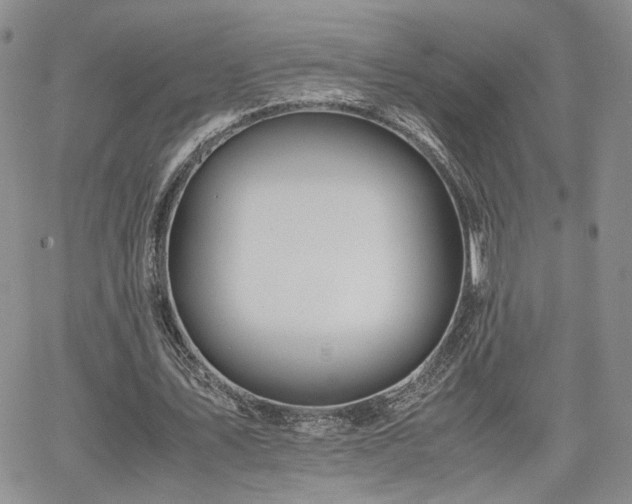 X0000062170579200512091432