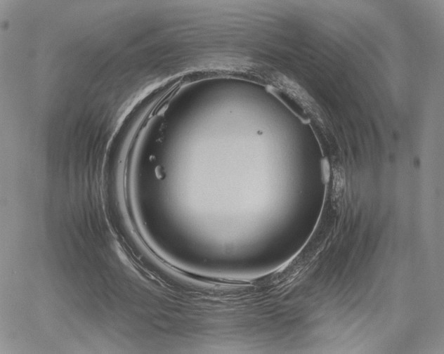 X0000062170580200512091432