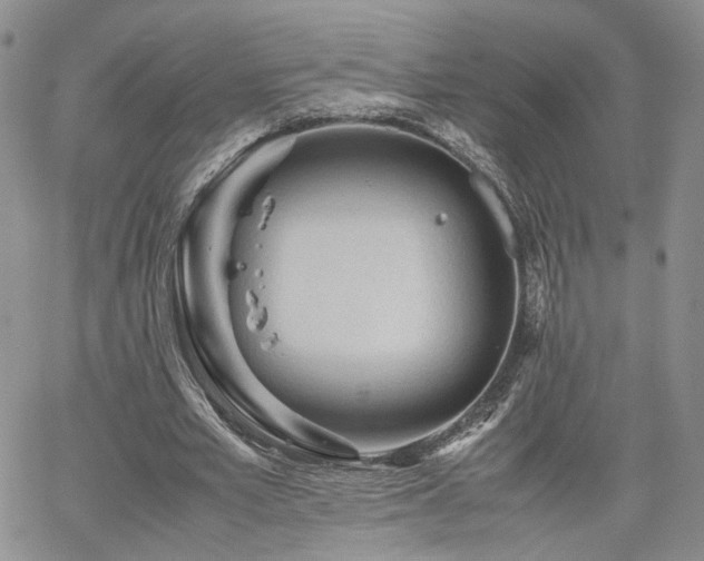 X0000062170581200512091432