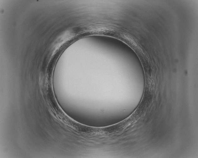 X0000062170583200512091432