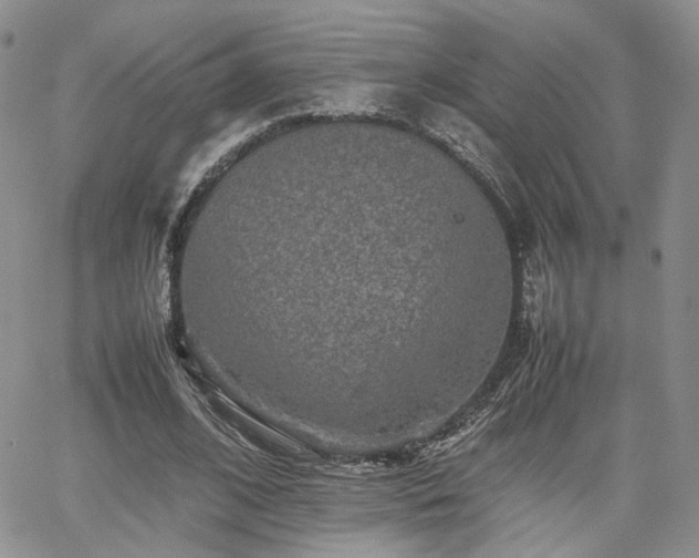 X0000062170584200512091432