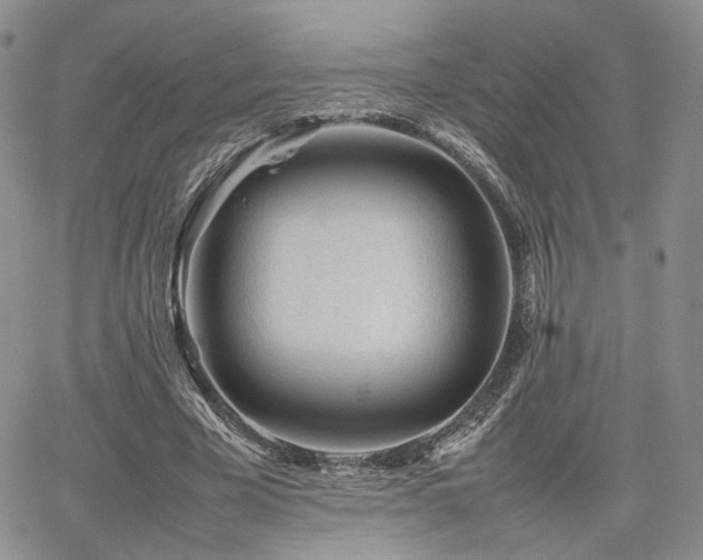 X0000062170585200512091432