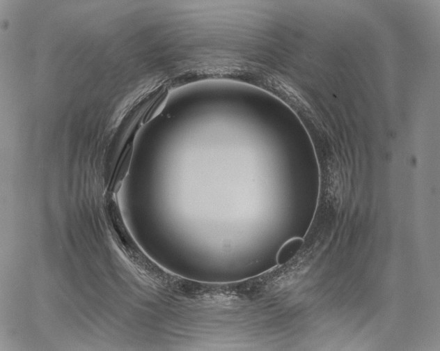 X0000062170586200512091432