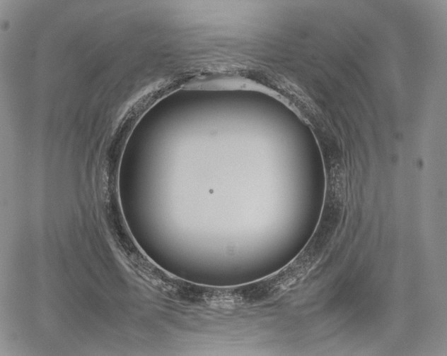 X0000062170587200512091432