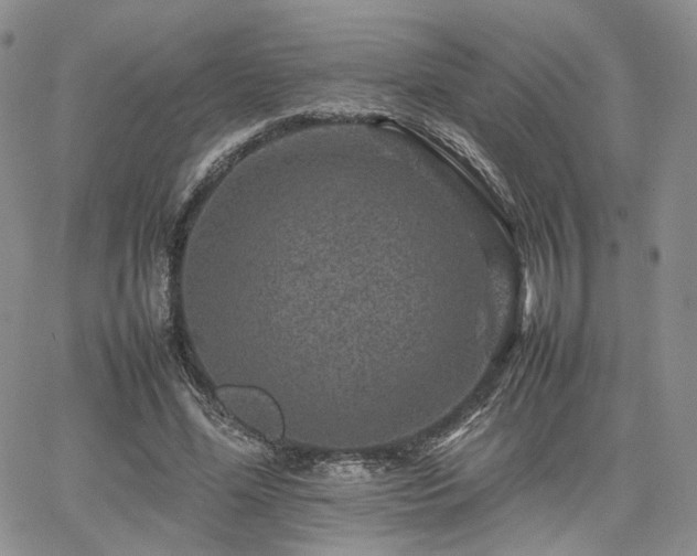 X0000062170588200512091432