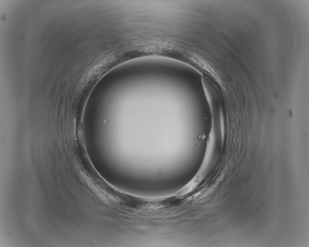 X0000062170589200512091432