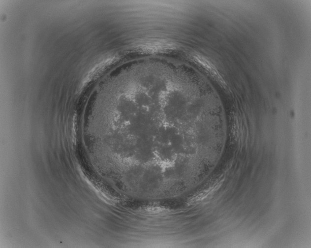 X0000062170590200512091432