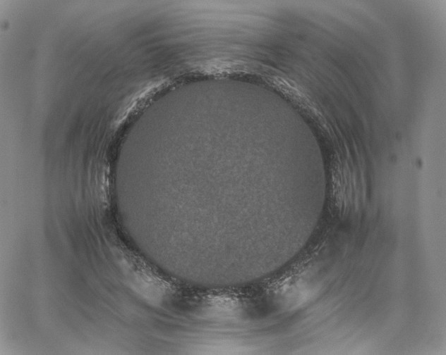 X0000062170592200512091432