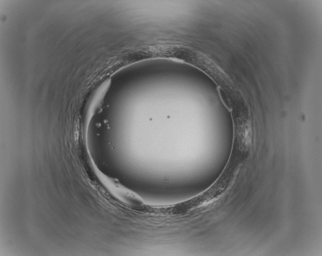 X0000062170593200512091432