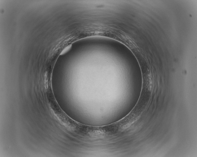 X0000062170594200512091432