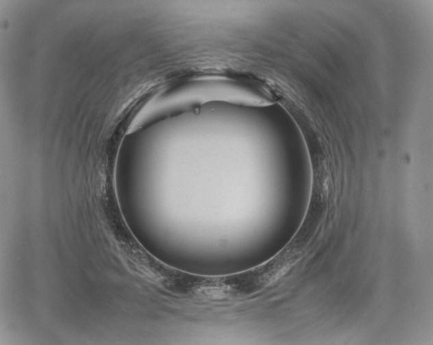 X0000062170595200512091432