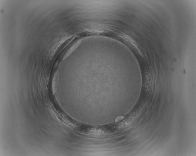 X0000062170596200512091432