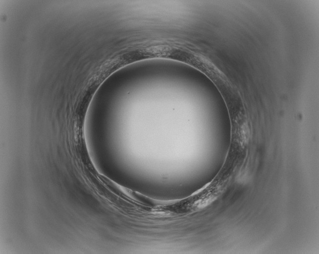 X0000062170597200512091432