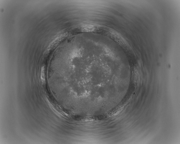 X0000062170598200512091432