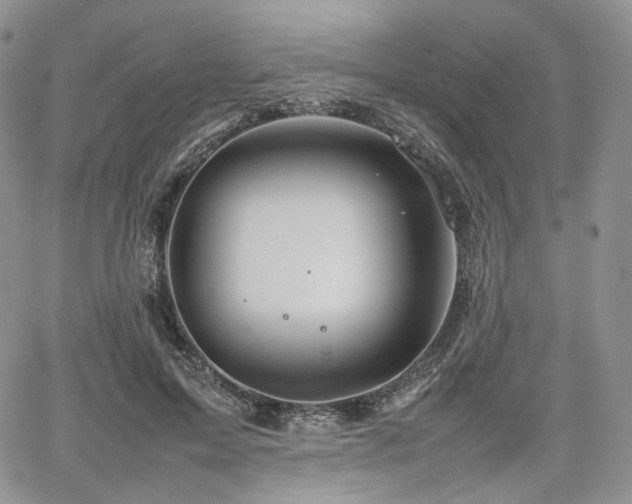 X0000062170599200512091432